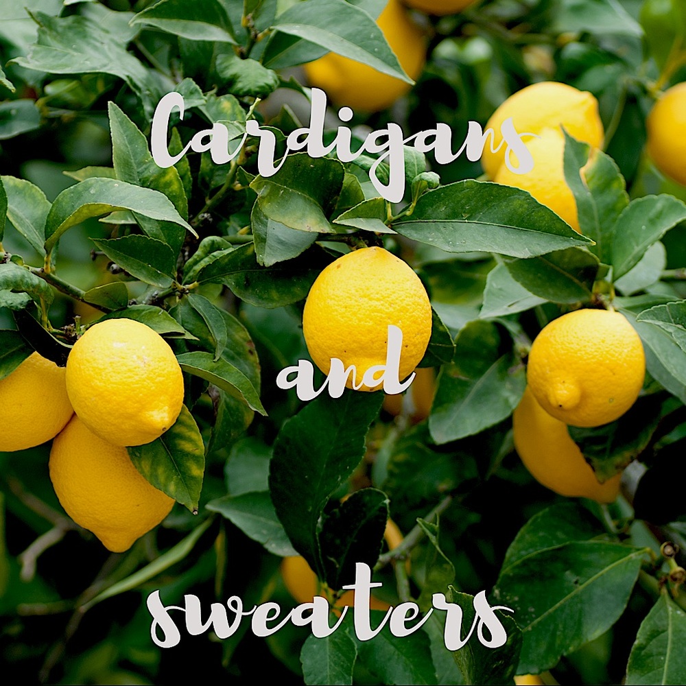 🍋🍋🍋